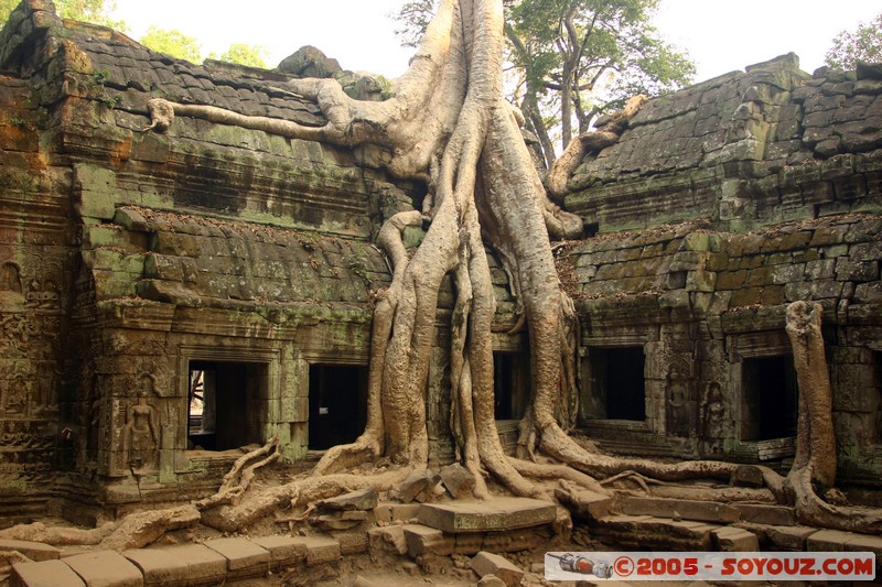 Angkor - Ta Prohm
Mots-clés: patrimoine unesco Ruines sunset