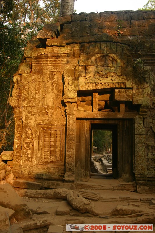 Angkor - Ta Prohm
Mots-clés: patrimoine unesco Ruines sunset