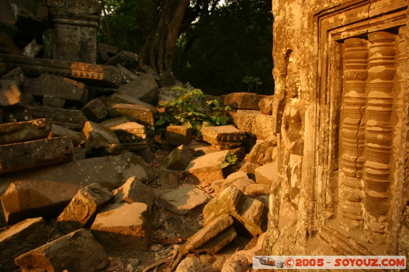 Angkor - Ta Prohm
Mots-clés: patrimoine unesco Ruines sunset