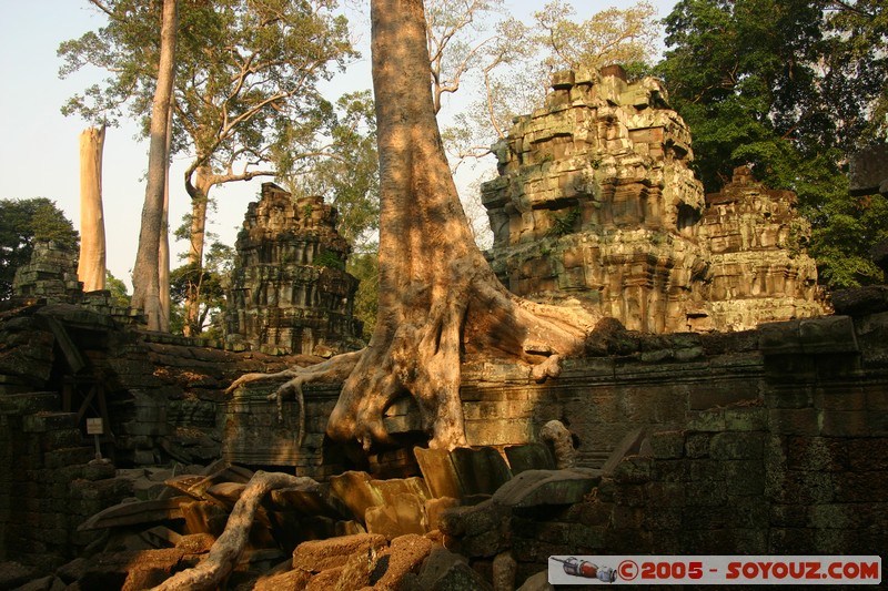 Angkor - Ta Prohm
Mots-clés: patrimoine unesco Ruines sunset