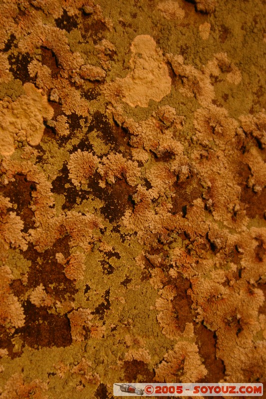 Angkor - Banteay Kdei
Mots-clés: patrimoine unesco Ruines sunset