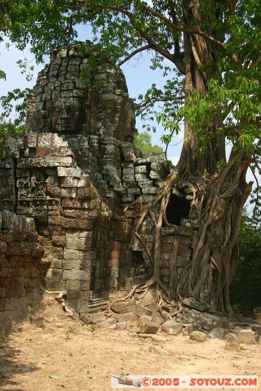 Angkor - Ta Som
Mots-clés: patrimoine unesco Ruines