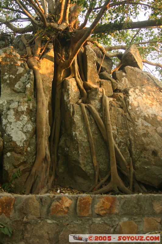 Chau Doc - Nui Sam
Mots-clés: Vietnam sunset