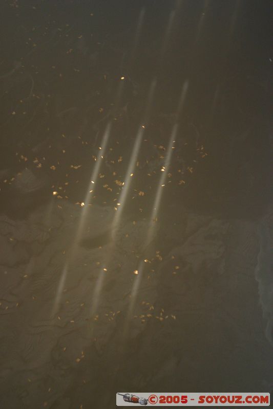 Chau Doc - Fish Farming
Mots-clés: Vietnam Riviere usine