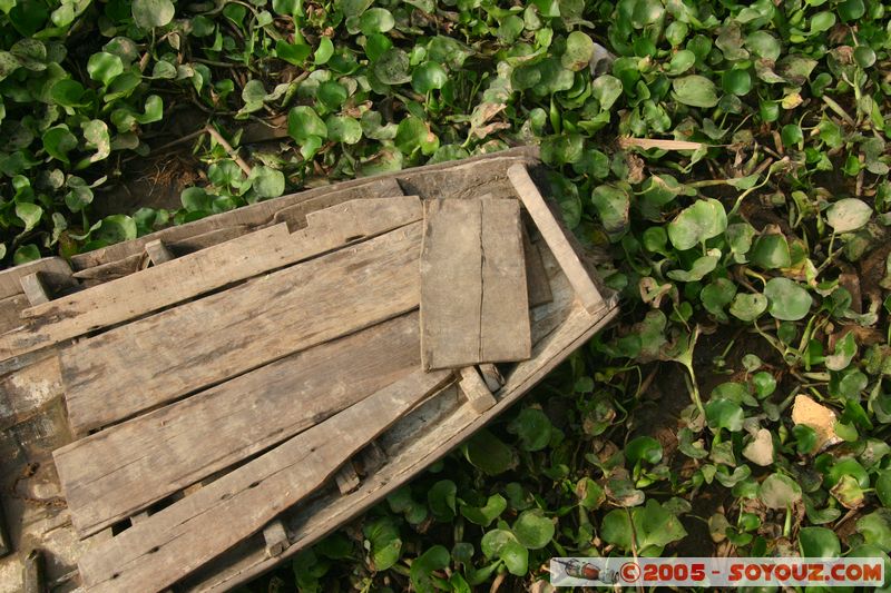 Chau Doc - Hau Giang River
Mots-clés: Vietnam Riviere bateau