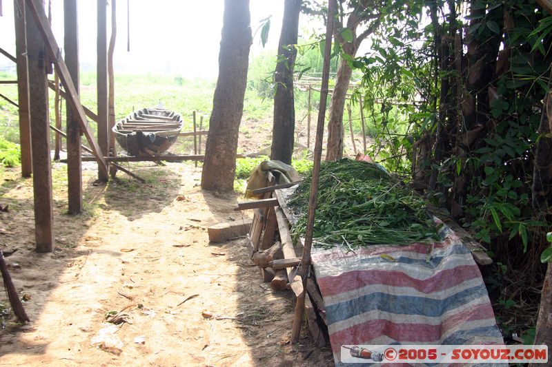 Chau Doc - Hau Giang River
Mots-clés: Vietnam