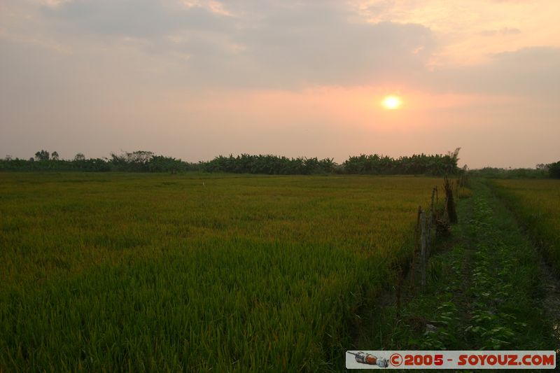 Cai Rang - Sunrise on paddy field
Mots-clés: Vietnam sunset