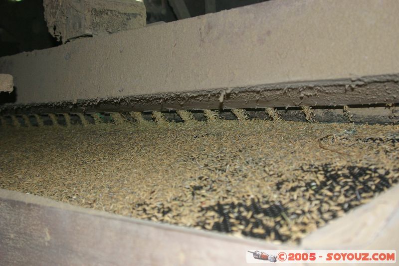 Cai Rang - Rice Mill
Mots-clés: Vietnam usine