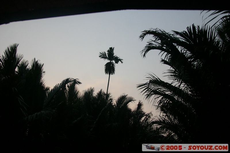 My Tho - Mekong River
Mots-clés: Vietnam Arbres