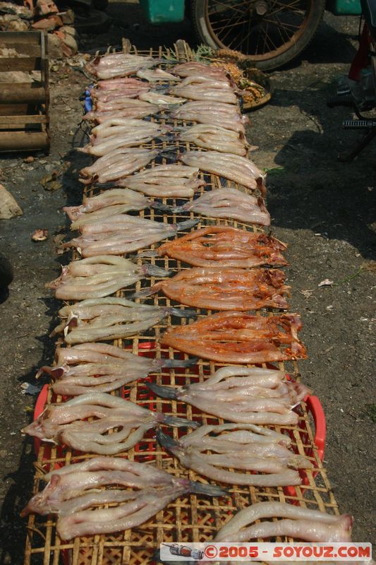 My Tho - Central Market
Mots-clés: Vietnam Marche