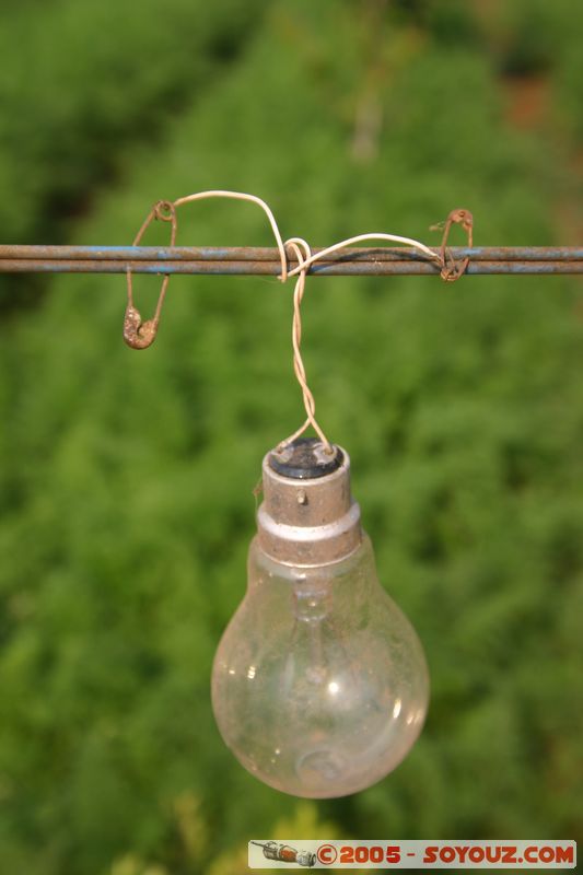 Around Dalat - Chicken Village - Light
Mots-clés: Vietnam Insolite