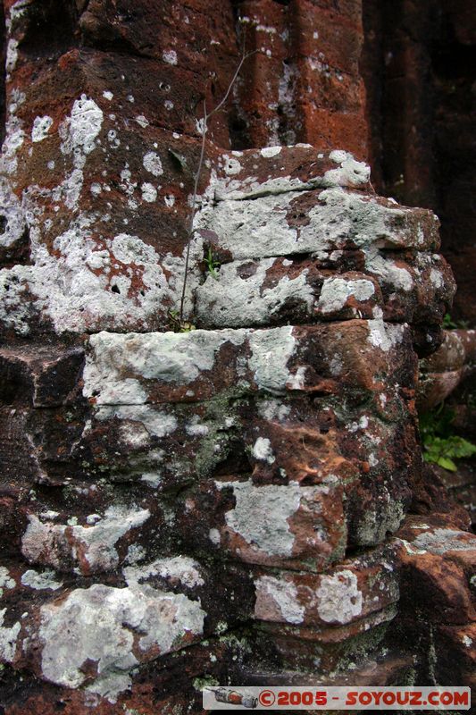 Mi-Son
Mots-clés: Vietnam patrimoine unesco Ruines cham