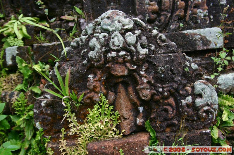 Mi-Son
Mots-clés: Vietnam patrimoine unesco Ruines cham