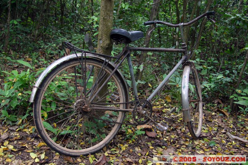 Mi-Son - Bicycle
Mots-clés: Vietnam velo