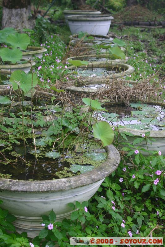 Hue - Imperial City
Mots-clés: Vietnam