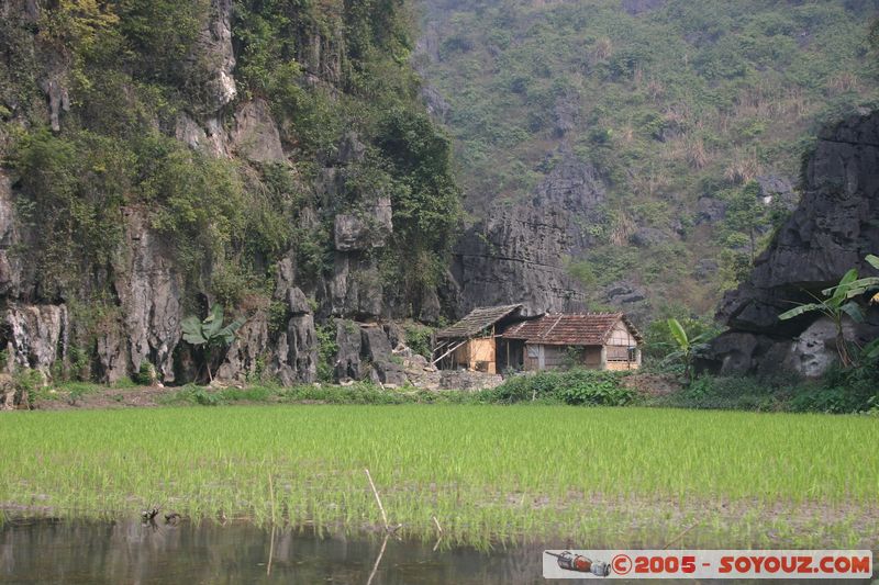 Ninh Binh - Tam Coc
Mots-clés: Vietnam Riviere Riziere