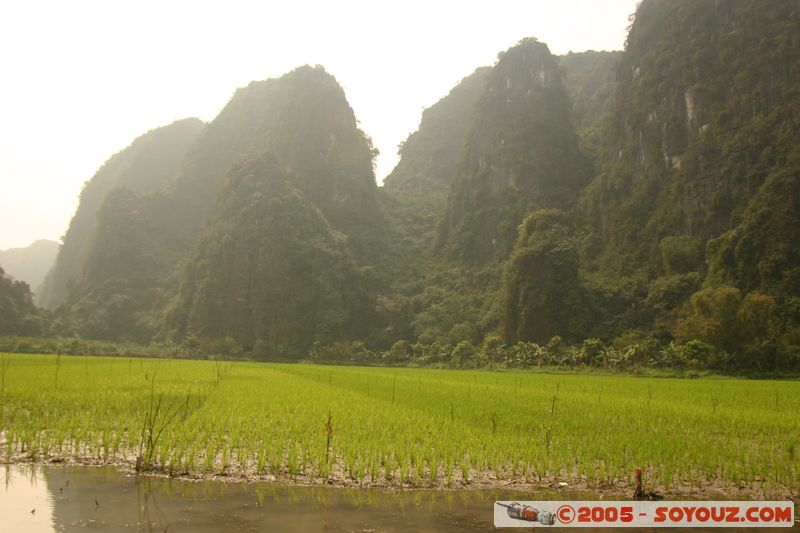 Ninh Binh - Tam Coc
Mots-clés: Vietnam Riviere Riziere