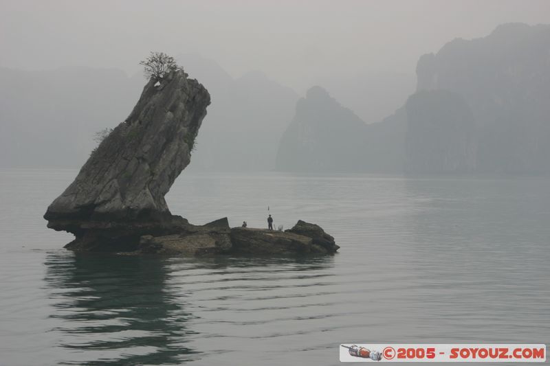 Halong Bay
Mots-clés: Vietnam patrimoine unesco mer brume