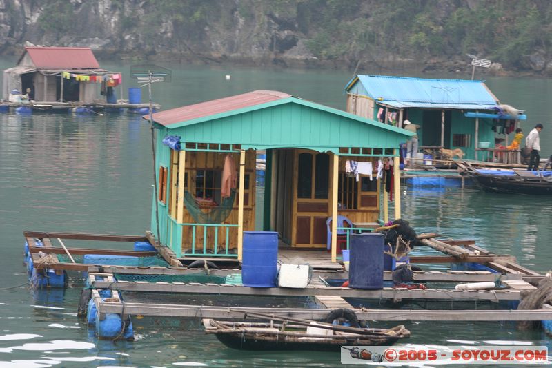 Halong Bay
Mots-clés: Vietnam patrimoine unesco mer