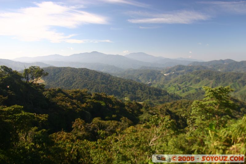 Jungle walks
Mots-clés: Cameron Highlands Jungle Treking Malaysia Tanah Rata Tea Plantations