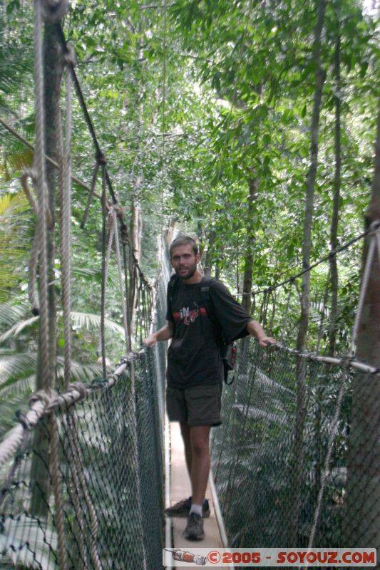 Moi sur la Canopy walkway
Mots-clés: Jungle Treking Kuala Tahan Malaysia Taman Negara canopy walkway tropical rain forest