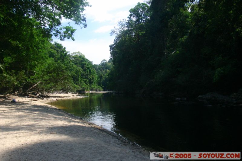 Lubok Simpon
Mots-clés: Jungle Treking Kuala Tahan Malaysia Taman Negara canopy walkway tropical rain forest
