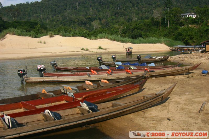 Lancha
Mots-clés: Jungle Treking Kuala Tahan Malaysia Taman Negara canopy walkway tropical rain forest