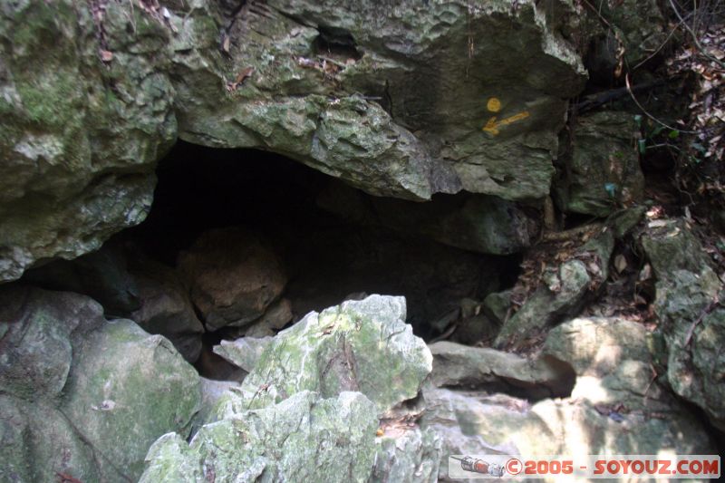 Gua Telinga
Mots-clés: Jungle Treking Kuala Tahan Malaysia Taman Negara canopy walkway tropical rain forest