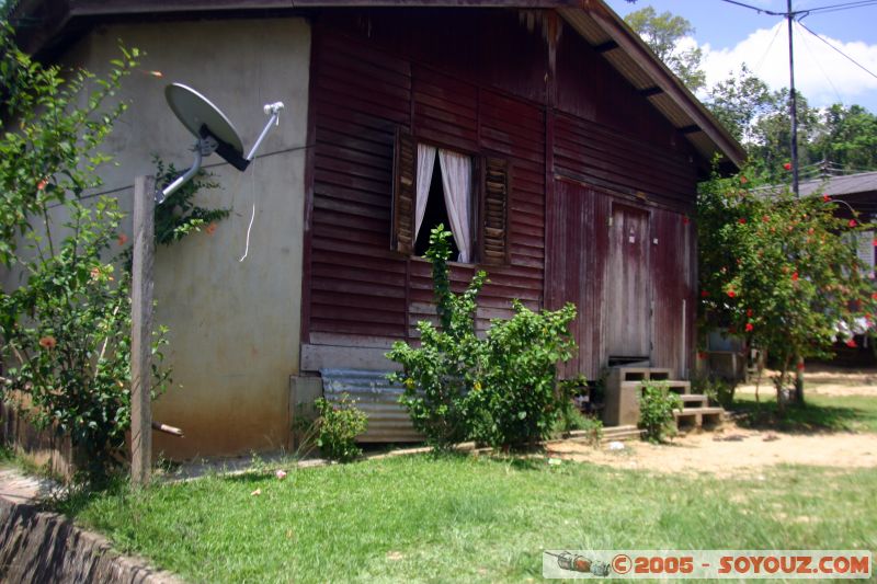 Kuala Tahan
Mots-clés: Jungle Treking Kuala Tahan Malaysia Taman Negara canopy walkway tropical rain forest