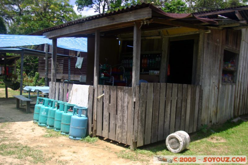 Kuala Tahan
Mots-clés: Jungle Treking Kuala Tahan Malaysia Taman Negara canopy walkway tropical rain forest