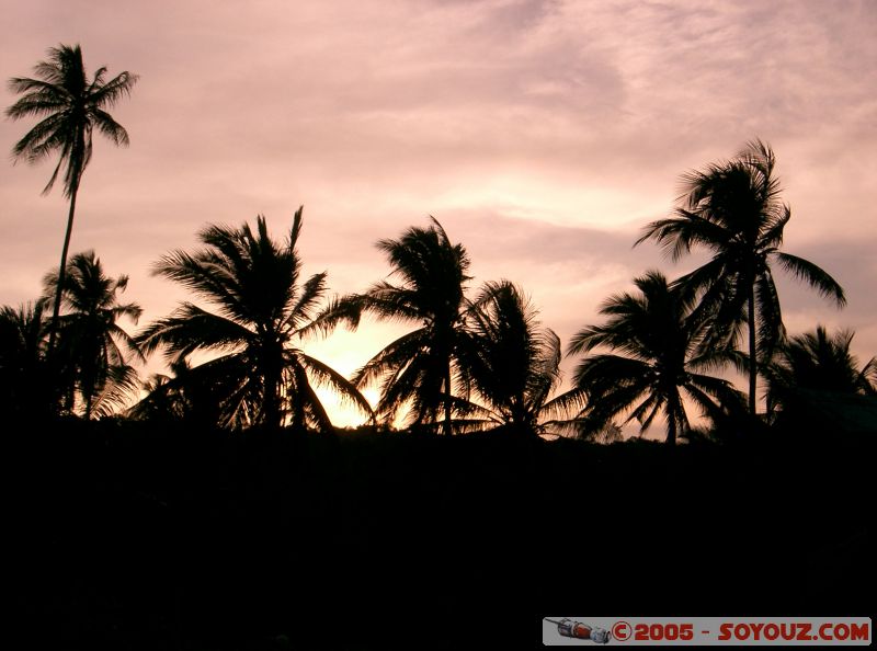 Palmtrees at sunset
Mots-clés: Kecil Malaysia Perhentian Islands beach diving paradis paradise plongés scuba