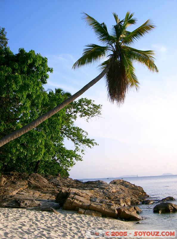 Palmier - Palmtree
Mots-clés: Kecil Malaysia Perhentian Islands beach diving paradis paradise plongés scuba
