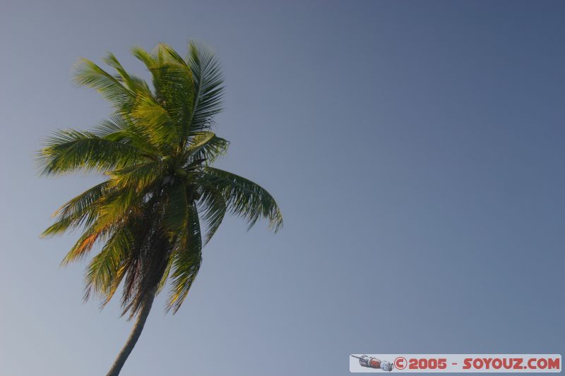 Green on blue
Long Beach - Paulau Perhentian Kecil
Mots-clés: Kecil Malaysia Perhentian Islands beach diving paradis paradise plongés scuba