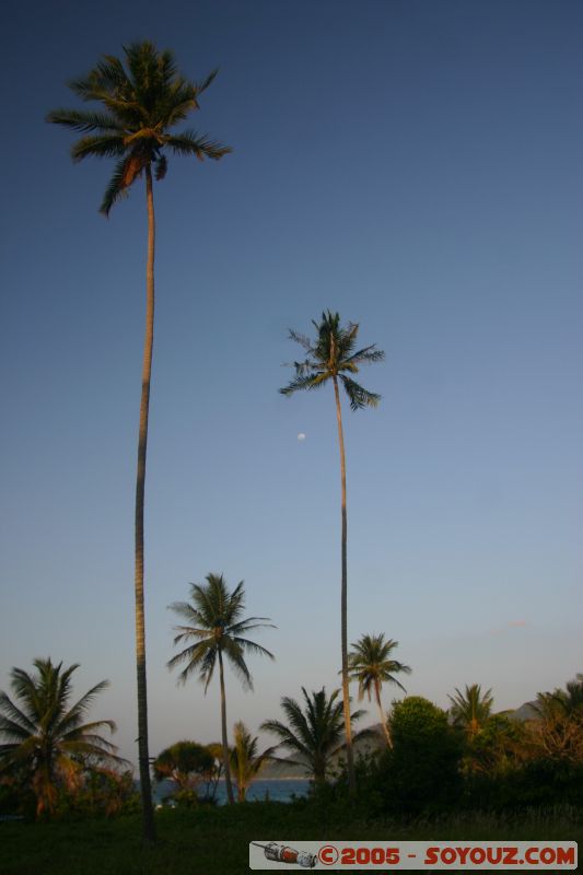 Palmiers / palmtrees
Long Beach - Paulau Perhentian Kecil
Mots-clés: Kecil Malaysia Perhentian Islands beach diving paradis paradise plongés scuba