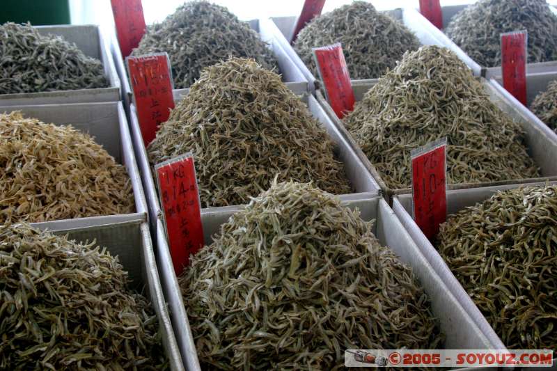 poissons s�ch�s / dry fishes
