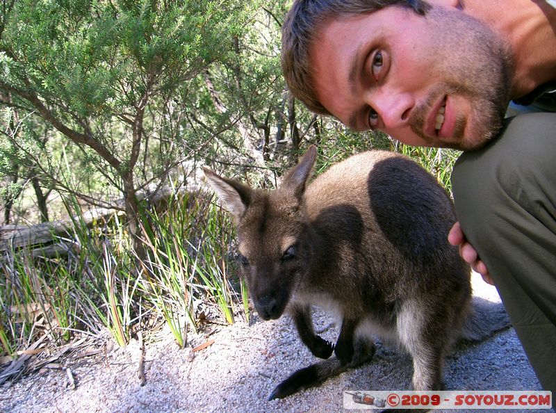 Freycinet National Park
Mots-clés: animals Wallaby animals Australia