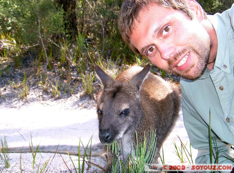 Freycinet National Park
Mots-clés: animals Wallaby animals Australia