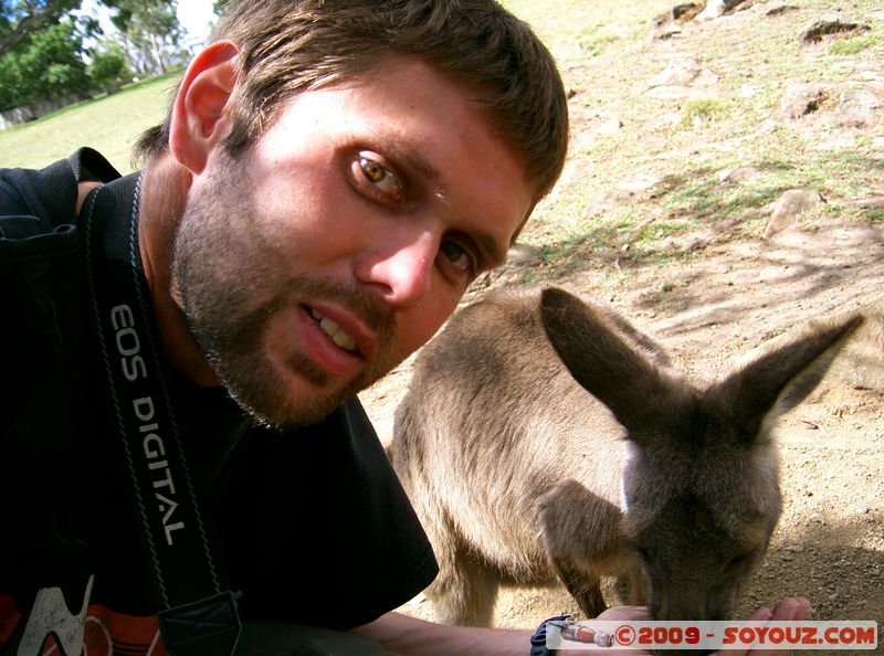 Australian animals - Wallaby
Mots-clés: animals animals Australia Wallaby