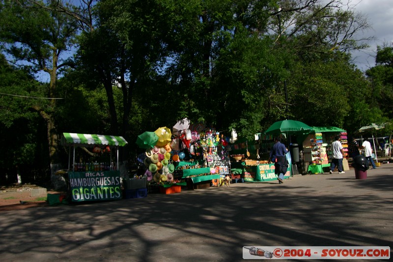 Bosque de Chapultepec
