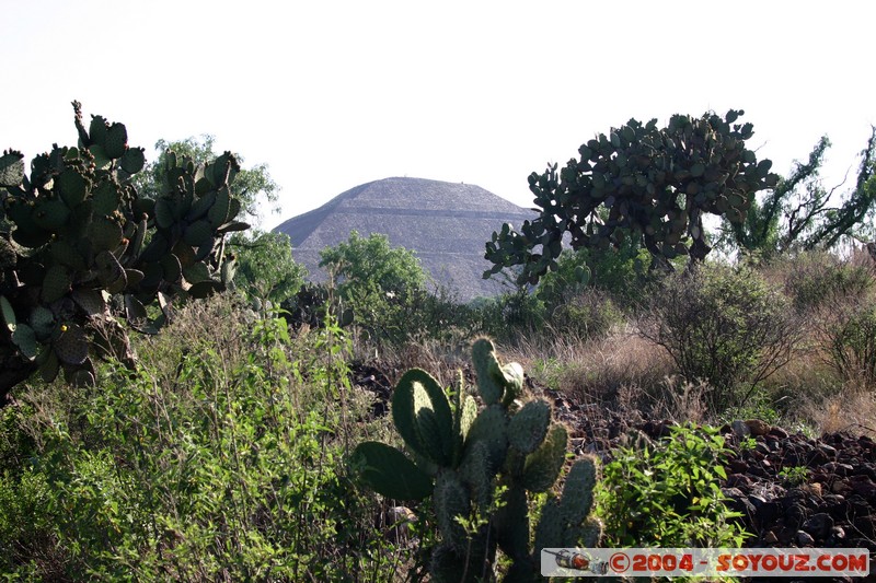 Teotihuacan - Piramide del Sol
Mots-clés: Ruines patrimoine unesco