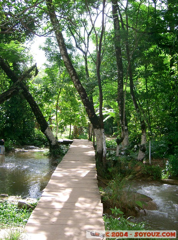 Agua Azul
