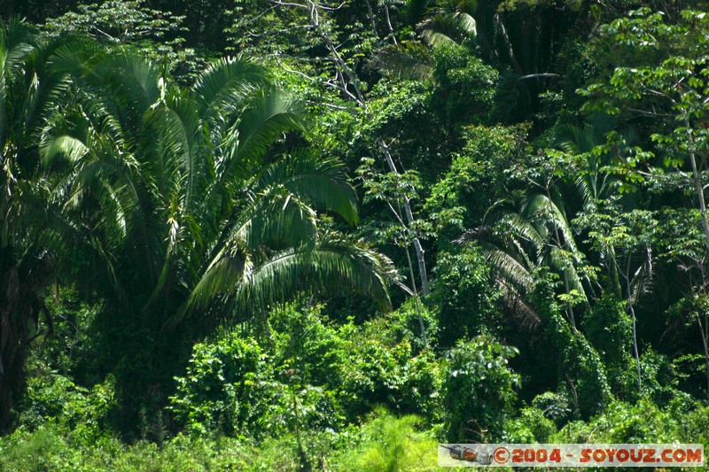 Fleuve Usumacinta
