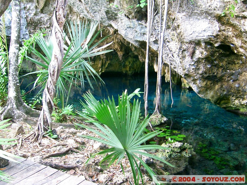 Gran Cenote
