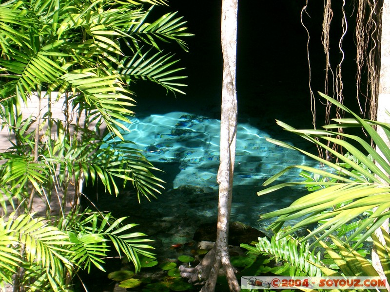 Gran Cenote
