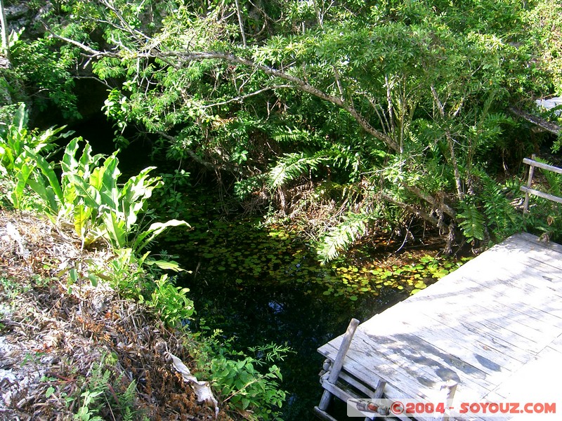 Gran Cenote
