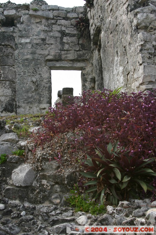 Tulum
Mots-clés: Ruines