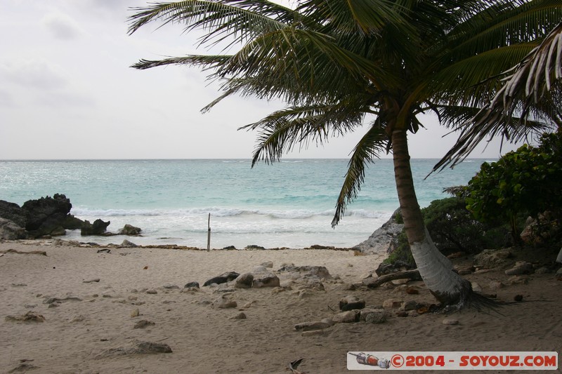 Tulum - plage
Mots-clés: Ruines