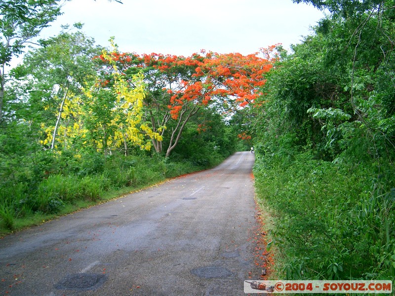 Route entre Valladolid et le Cenote Dzitnup
