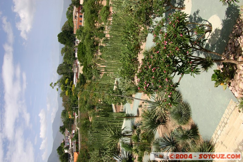 Oaxaca - Iglesia e convento Santo Domingo - Jardin
