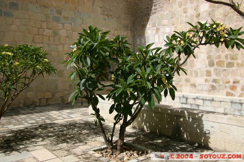 Oaxaca - Iglseia e convento Santo Domingo
Mots-clés: patrimoine unesco